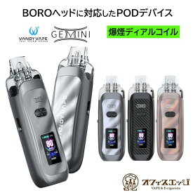 VandyVape Gemini Pod Kit 2400mAh 5.5ml BORO RBAヘッド対応機種 ベイプ 本体 vape 電子タバコ ジェミニ バンディーベイプ バンディベイプ 爆煙 濃厚 デバイス 本体 充電式 シーシャ 持ち運びシーシャ 水蒸気 カートリッジ boro ボロ ビルド リビルド リビルダブル [P-10]