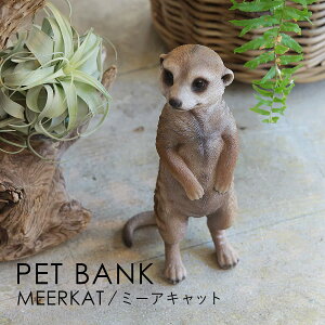 PET BANK �y�b�g�o���N MEERKAT �~�[�A�L���b�g | ������ / �I�u�W�F / �u�� / ���� / �C���e���A / �M�t�g / magnet / �}�O�l�b�g�y����E���� ���͂��s�z