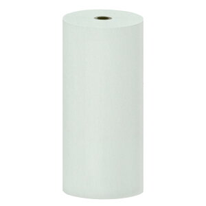 【2本セット】紙緩衝材 ボーガスペーパー 538mm×500m巻 ロングロールタイプ 【沖縄・離島 お届け不可】