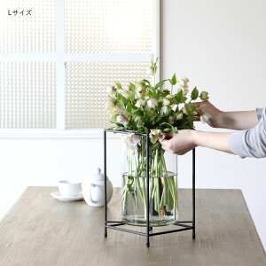 ACAX^h t[x[X | ACAX^h / KXx[X / fBXvC / Ԃт / ԕr / Ԋ / CeA / AeB[N / Vr? / C_XgA / S / X / Y / SO