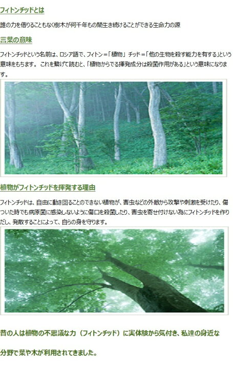 楽天市場】フィトンチッドジャパン フィトンエアー 乾燥 ウイルスが気 