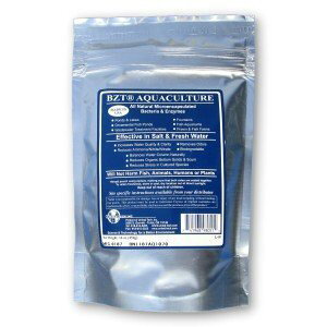 GACI[Wp@Er@򉻃oNeA܁@ANAJ`[R@454g