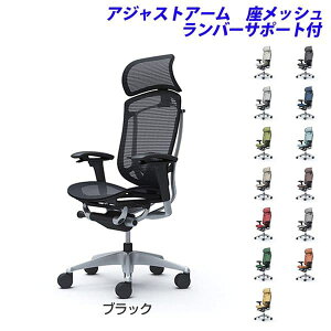 y|Cg10{zy󒍐YizIJ ItBX`FA ContessaII RebT ZR_ GNXgnCobN 5{r ^ŒwbhXg AWXgA[ bV o[T|[g