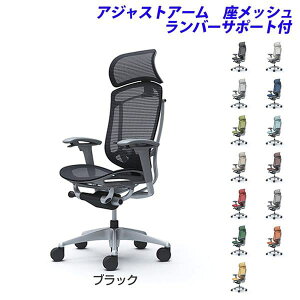 �y�|�C���g10�{�z�y�󒍐��Y�i�z�I�J���� �I�t�B�X�`�F�A ContessaII �R���e�b�T �Z�R���_ �G�N�X�g���n�C�o�b�N 5�{�r ��^�Œ�w�b�h���X�g �A�W���X�g�A�[�� �����b�V�� �����o�[�T�|�[�g