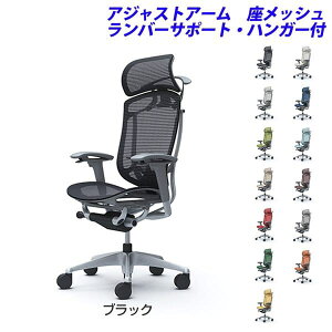 y|Cg10{zy󒍐YizIJ ItBX`FA ContessaII RebT ZR_ GNXgnCobN 5{r ^ŒwbhXg AWXgA[ bV o[T|[g