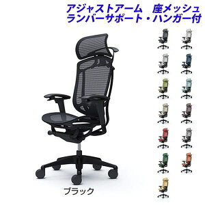 y|Cg10{zy󒍐YizIJ ItBX`FA ContessaII RebT ZR_ GNXgnCobN 5{r ^ŒwbhXg AWXgA[ bV o[T|[g