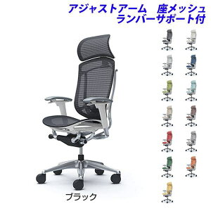 �y�|�C���g10�{�z�y�󒍐��Y�i�z�I�J���� �I�t�B�X�`�F�A ContessaII �R���e�b�T �Z�R���_ �G�N�X�g���n�C�o�b�N 5�{�r ��^�Œ�w�b�h���X�g �A�W���X�g�A�[�� �����b�V�� �����o�[�T�|�[�g