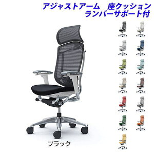 y|Cg10{zy󒍐YizIJ ItBX`FA ContessaII RebT ZR_ GNXgnCobN 5{r ^ŒwbhXg AWXgA[ NbV o[T|[