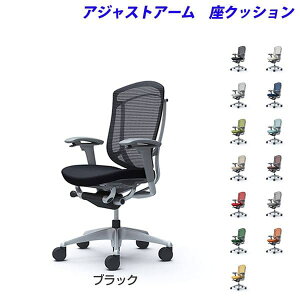 �y�|�C���g10�{�z�y�󒍐��Y�i�z�I�J���� �I�t�B�X�`�F�A ContessaII �R���e�b�T �Z�R���_ �n�C�o�b�N 5�{�r �A�W���X�g�A�[�� ���N�b�V���� CC83GA[ �R���e�b�T2 seconda �}�l�W�����g�`�F�A �G�O