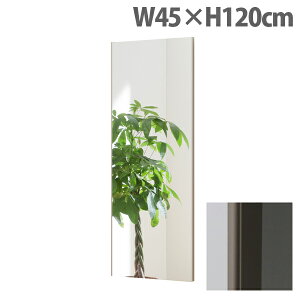 tFNX~[ X^_[h XGbW W45×H120cm VpS[h RM-2[ Ȃ y y tB~[ p Sg Sg~[ S ]