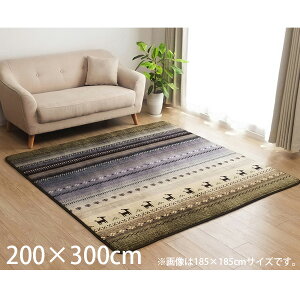 CPqR DXfB O Mbx zbgJ[ybgΉ ` 200×300cm O[ DRD300