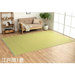 �C�P�q�R �|���v���s�������O �o���J�� �]�ˊ�1�� (87×174cm) �O���[�� BRC87174 [ �􂦂� PP���O ���O �J�[�y�b�g ���Y ���{�� ]