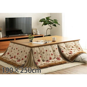 CPqR ~L[ zc ȃXy[X^Cv 唻 ` 190×250cm AC{[ G280064621 [  ȃXy[X mfBbN k 􂦂 ]