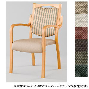 y󒍐YizACX`gZ H _CjO`FA tB[mHGV[Y ANn i` W505×D590×H875(SH420)mm FNHG-F-N [{ݗpƋ `FA Ҍ Vlz[ {݌ {