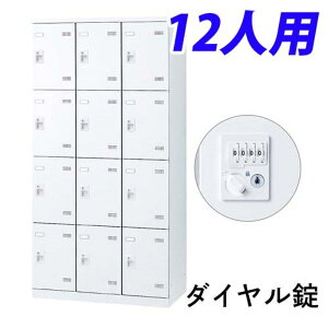 ���� SLB���b�J�[(���z���C�g) 3��4�i 12�l�p �_�C������ W900×D515×H1800mm SLBW-12-D2