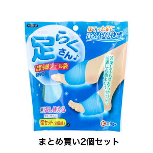 【ポイント10倍キャンペーン当店バナーよりエントリー必須】【まとめ買い2個セット】NEW 足らくさん 足裏冷却ジェル袋 フリーサイズ AR2A-48 1足セット(2個組)