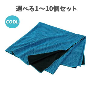 y|Cg10{Ly[Xoi[Gg[K{zyIׂ1`10Zbgz⊴^I 唻TCY XJCu[ (27749) MǑ΍ ⊴^I N[^I 唻 ėp AEgh