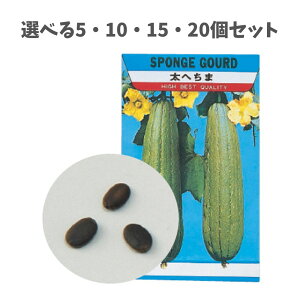 y|Cg10{Ly[Xoi[Gg[K{zyIׂ5E10E15E20Zbgz؂̎ w`} (2736) 10 ƒ؉ ȋ ؍  G߂̖ LbY R