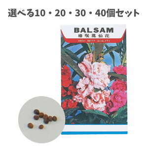 y|Cg10{Ly[Xoi[Gg[K{zyIׂ10E20E30E40ZbgzԂ̎ zEZJ (2743) 35`40 K[fjO R   Â LbY ȋ 