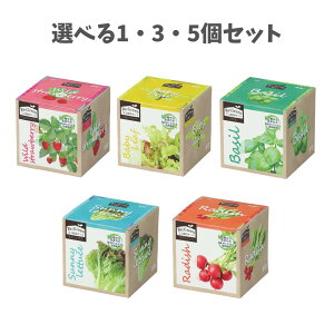 y|Cg10{Ly[Xoi[Gg[K{zyIׂ1`5ZbgzGR͔|Lbg Re:Green ChXgx[(102973) Tj[^X(102974) fBbV(102975) xr[[