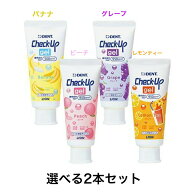 【選べる2本セット】ライオン チェックアップジェル 60g（バナナ 500ppm・グレープ・ピーチ・レモンティ…