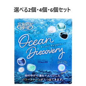 【選べる2個・4個・6個セット】遊んで学べる科学おもちゃ 宝物発見シリーズ オーシャンディスカバリー 1セット