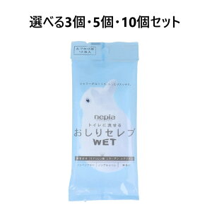 y|Cg10{Ly[Xoi[Gg[K{zyIׂ3E5E10ZbgzlsA gCɗ ZuWET łp 12 ɂ₳ gCbgy[p[ 