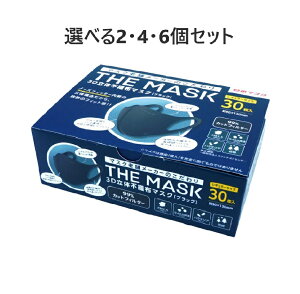 y|Cg10{Ly[Xoi[Gg[K{zyIׂ2E4E6ZbgzTHE MASK 3D̕sDz}XN ubN M[TCY 30