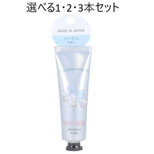 y|Cg10{Ly[Xoi[Gg[K{zyIׂ1E2E3{ZbgznhN[ Vi[ VgX̍ 30g TI Mtg 킢 ΍