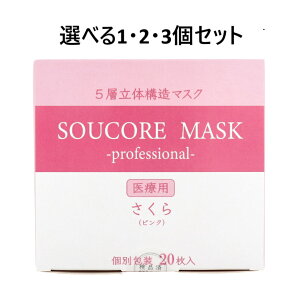 y|Cg10{Ly[Xoi[Gg[K{zyIׂ1E2E3ZbgzyƖpz5w SOUCORE MASK(\ER}XN) ×p  sN ʕ 20 T[WJ}X