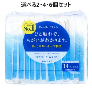 y|Cg10{Ly[Xoi[Gg[K{zyIׂ2E4E6ZbgzGG[ +Water(vXEH[^[)|PbgeBV[ 28(14g)×14pbN 邨 Ȃ߂炩 ԕ