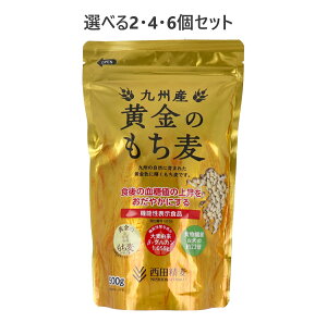 y|Cg10{Ly[Xoi[Gg[K{zyIׂ2E4E6ZbgzBY ̂ 500g NH H@ _CGbg ͂