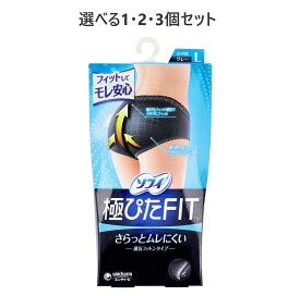 【ポイント10倍キャンペーン当店バナーよりエントリー必須】ソフィ 極ぴたFIT 通気コットンタイプ Lサイズ グレー 1枚入 サニタリーショーツ 羽つきナプキン対応 快適な毎日