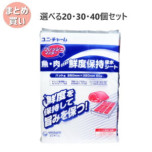 y|Cg10{Ly[Xoi[Gg[K{zyIׂ20E30E40ZbgztbV}X^[ Ê߂̑NxێzV[g obgp 250×350mm 50 ۑNV[g d