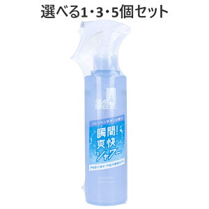 y|Cg10{Ly[Xoi[Gg[K{zyIׂ1E3E5ZbgzV[u[Y fIEH[^[ E tbVT{̍ 145mL tbV Xv[ 