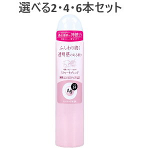 y|Cg10{Ly[Xoi[Gg[K{zyIׂ2E4E6{ZbgzG[W[fI24 fIhgXv[ XEB[guh 40g ΍ ɋ 