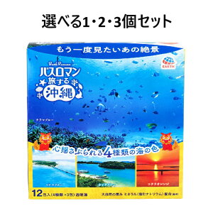 y|Cg10{Ly[Xoi[Gg[K{zyIׂ1E2E3ZbgzoX} p 鉫 12(4×3)  C ̃oX^C