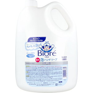 �y�|�C���g10�{�L�����y�[�����X�o�i�[���G���g���[�K�{�z�ԉ��Ɩ��p �r�I��U ��p �A�n���h�\�[�v �}�C���h�V�g���X�̍��� 4L