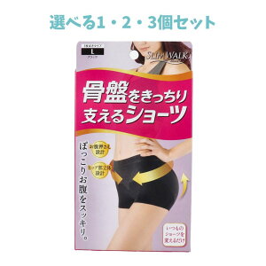 y|Cg10{Ly[Xoi[Gg[K{zyIׂ1E2E3ZbgzXEH[N ՂxV[c LTCY ubN ۂ肨 ՃT|[g 