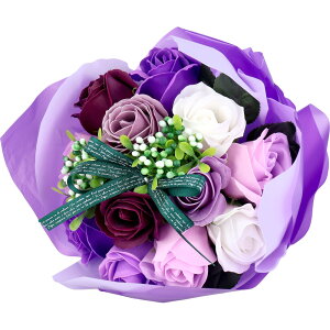 y|Cg10{Ly[Xoi[Gg[K{zV{t[ SBL-11 p[v ̓Mtg j ͂Ȃ 킢v[g