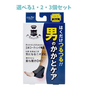 y|Cg10{Ly[Xoi[Gg[K{zyIׂ1E2E3ZbgzbOI ĵƃPA 1 I[vgD R hL