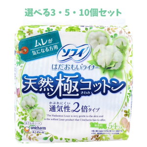 y|Cg10{Ly[Xoi[Gg[K{zyIׂ3E5E10Zbgz\tB ͂Ci[ VRɃRbg ʋC2{^Cv  54R ̃PAObY 