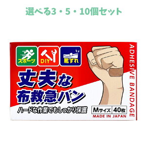 y|Cg10{Ly[Xoi[Gg[K{zyIׂ3E5E10Zbgzvȕz~}o MTCY 40 ~} 蓖 ĈS