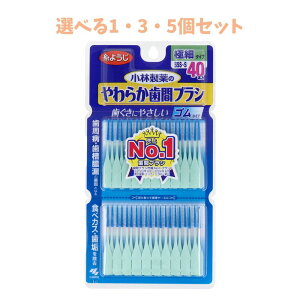 【ポイント10倍キャンペーン当店バナーよりエントリー必須】【選べる1・3・5個セット】やわらか歯間ブラシ 極細タイプ SSS-S 40本入 歯垢除去 セルフ口腔ケア セルフデンタルケア
