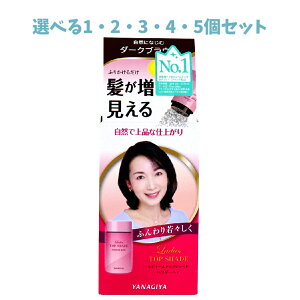 【ポイント10倍キャンペーン当店バナーよりエントリー必須】【選べる1・2・3・4・5個セット】レディーストップシェード パウダーヘア ダークブラウン 20g お出かけ前に 生え際 分け目 白髪