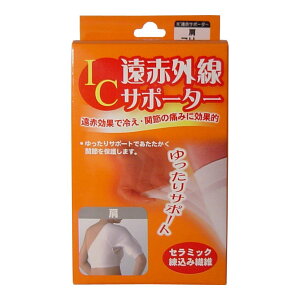 y|Cg10{Ly[Xoi[Gg[K{zICԊOT|[^[ p t[TCY 1  tBbg g