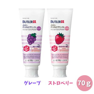 y|Cg10{Ly[Xoi[Gg[K{zyIׂ閡zTX^[ og[ f^PAy[Xg ǂ 70g×1{ Xgx[ O[v SUNSTAR BUTLER  n~KL