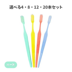 �y�|�C���g10�{�L�����y�[�����X�o�i�[���G���g���[�K�{�z�y�I�ׂ�4�E8�E12�E20�{�Z�b�g�z�W�[�V�[ �v���X�y�b�N ���u���V �����O �p�X�e�� �n�[�h(H) �A�\�[�g �L�b�Y���u���V ��������X