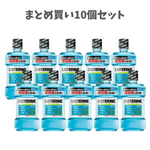 y|Cg10{Ly[Xoi[Gg[K{zy܂Ƃߔ10ZbgzpXe N[~g ~g 500mL ނ\h Ztf^PA ȒPLPA }EXE