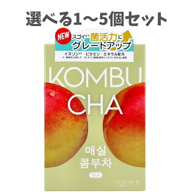 【ポイント10倍キャンペーン当店バナーよりエントリー必須】【選べる1～5個セット】HEALSLAB(ヒルズラボ) コンブチャ ウメ 5g×15包入 発酵ドリンク 菌活力 微炭酸